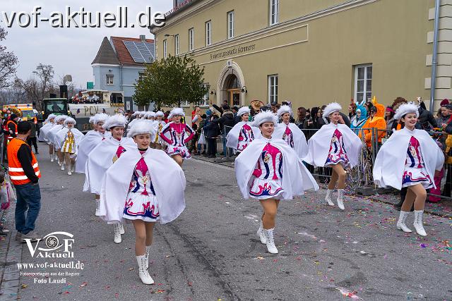 Foto Laudi_Pleintinger_Faschingszug-206267.jpg